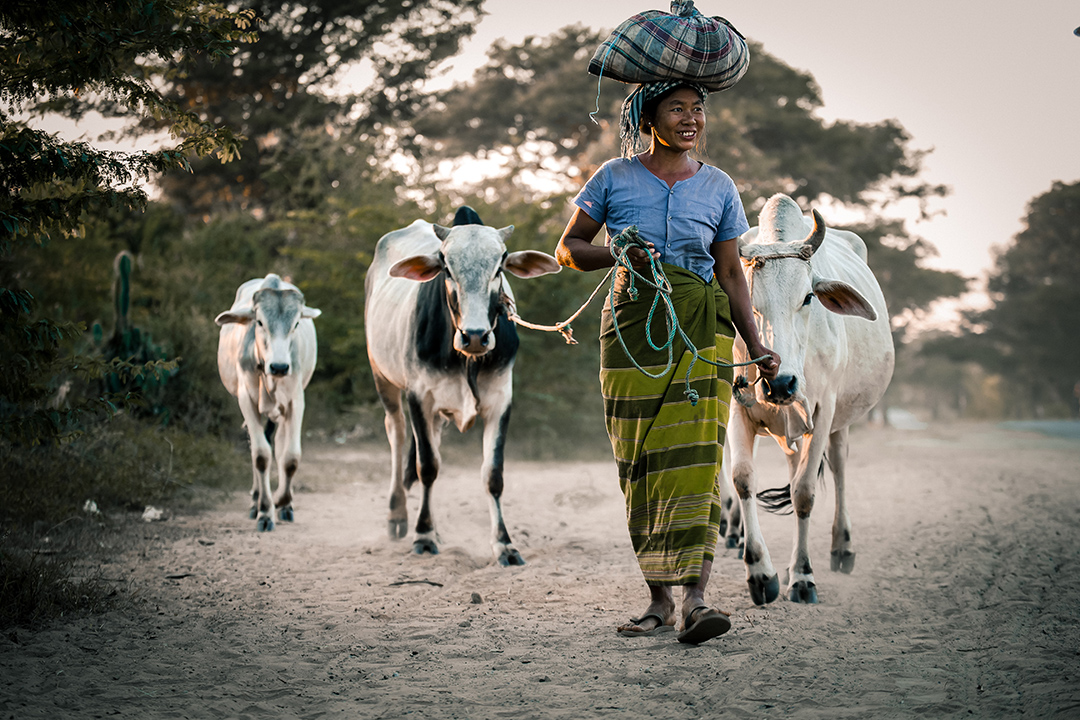 Sustainable tourism - Photo_by_sippakorn_yamkasikorn_on_Unsplash