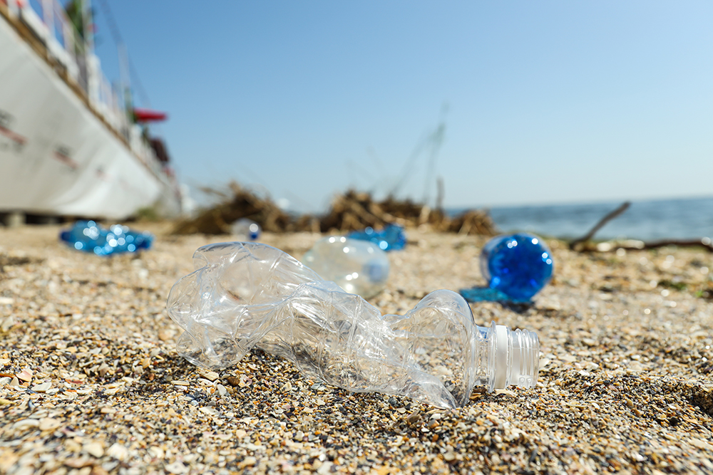 A discarded plastic bottle on the shoreline illustrates how everyday waste travels from our homes to the sea, threatening nature and future generations. A discarded plastic bottle on the shoreline illustrates how everyday waste travels from our homes to the sea, threatening nature and future generations.